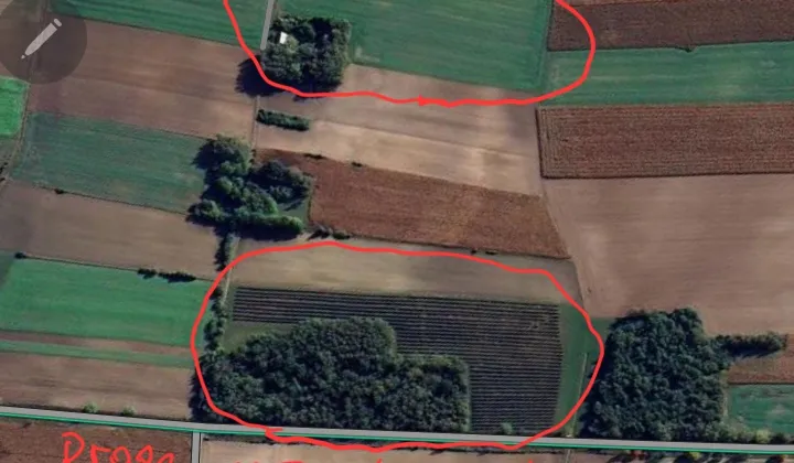 Działka rolna Miłkowice-Maćki