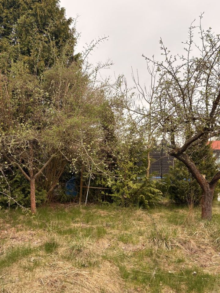 Działka rod Brzeg Dolny. Zdjęcie 6