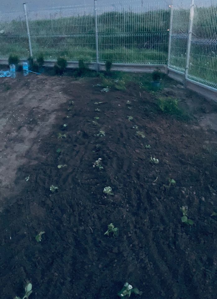 Działka inwestycyjna Lublin Hajdów, ul. Macieja Rataja. Zdjęcie 3