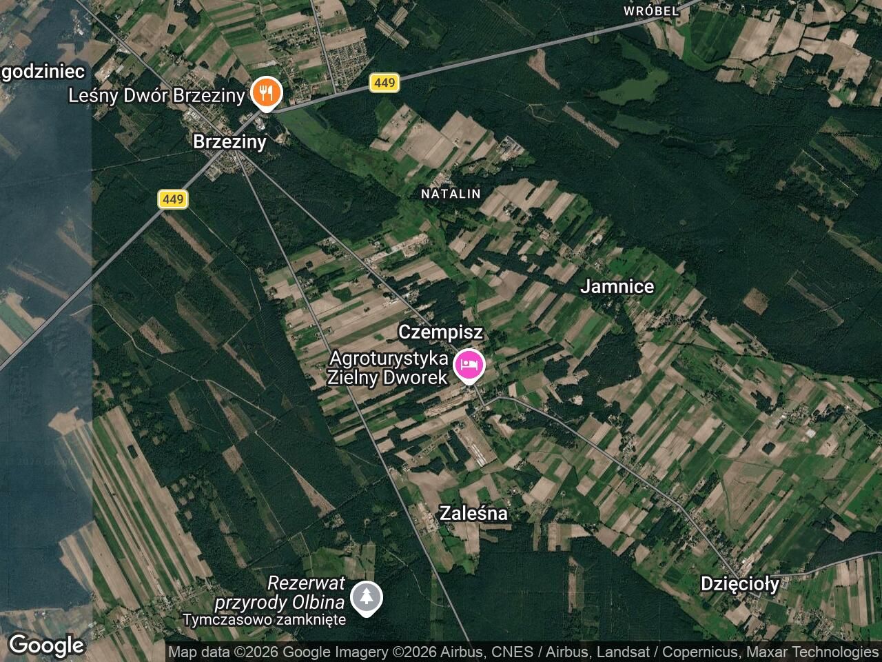 Działka siedliskowa Czempisz Dziadowice. Zdjęcie 1