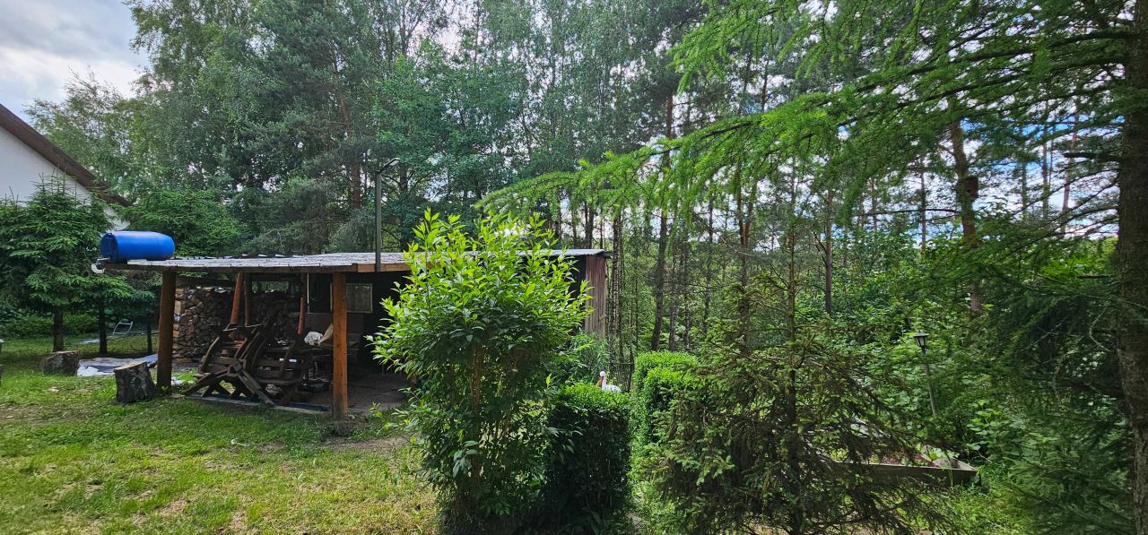 Działka rekreacyjna Głodowo. Zdjęcie 6