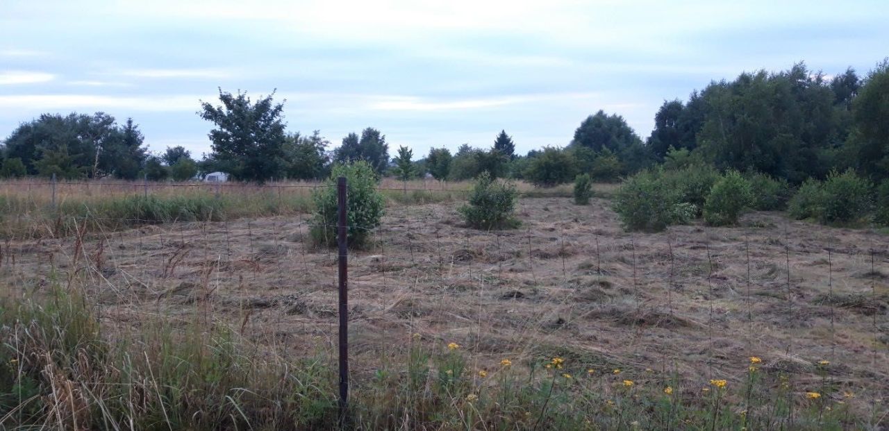 Działka rolna Łukęcin. Zdjęcie 6