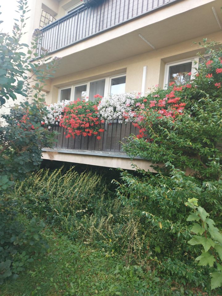 Mieszkanie 3-pokojowe Mińsk Mazowiecki, ul. 1 PLM Warszawa