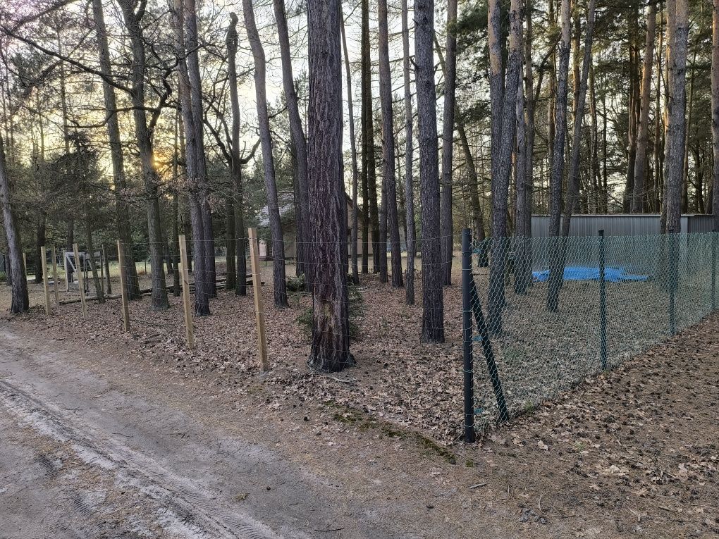 Działka budowlana Jamborek. Zdjęcie 3