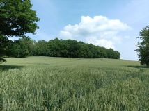 Działka budowlana Skała. Zdjęcie 3