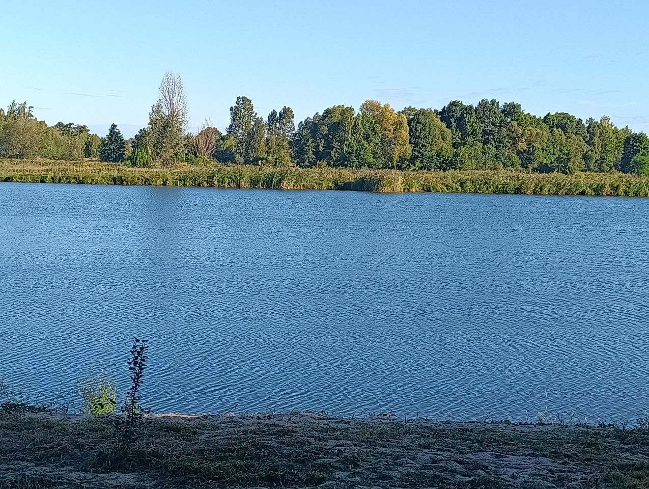 Działka rolna Gózdek. Zdjęcie 2