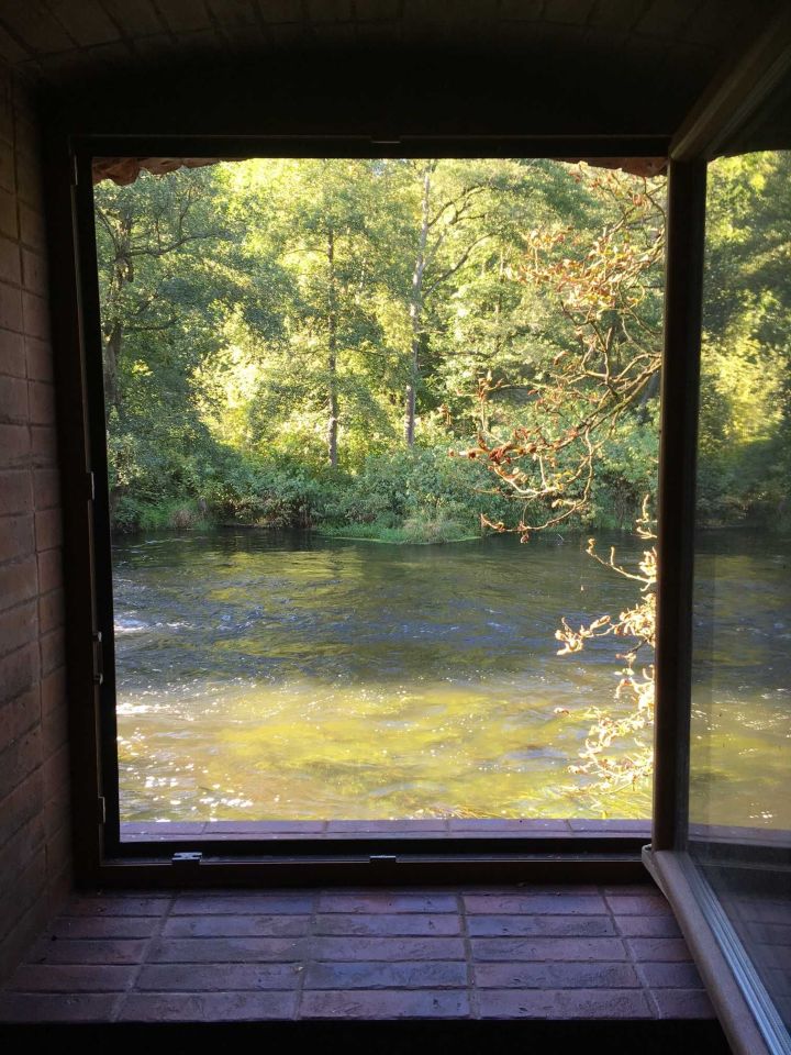 bliźniak Czapla. Zdjęcie 4