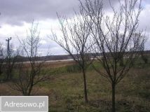 Działka budowlana Bobrowo. Zdjęcie 1