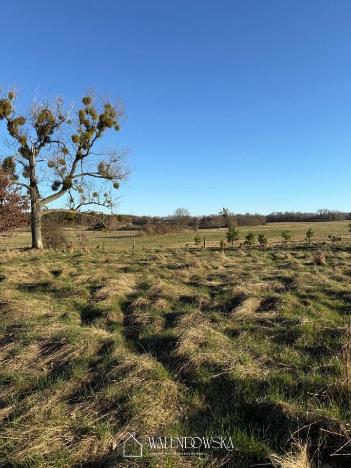 Działka rolna Gardna Wielka. Zdjęcie 1