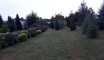 Działka rekreacyjna Częstochowa, ul. Gronowa