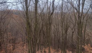 Działka leśna Średnia Wieś