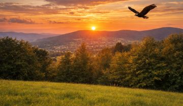 Działka inwestycyjna Ściegny, ul. Widokowa