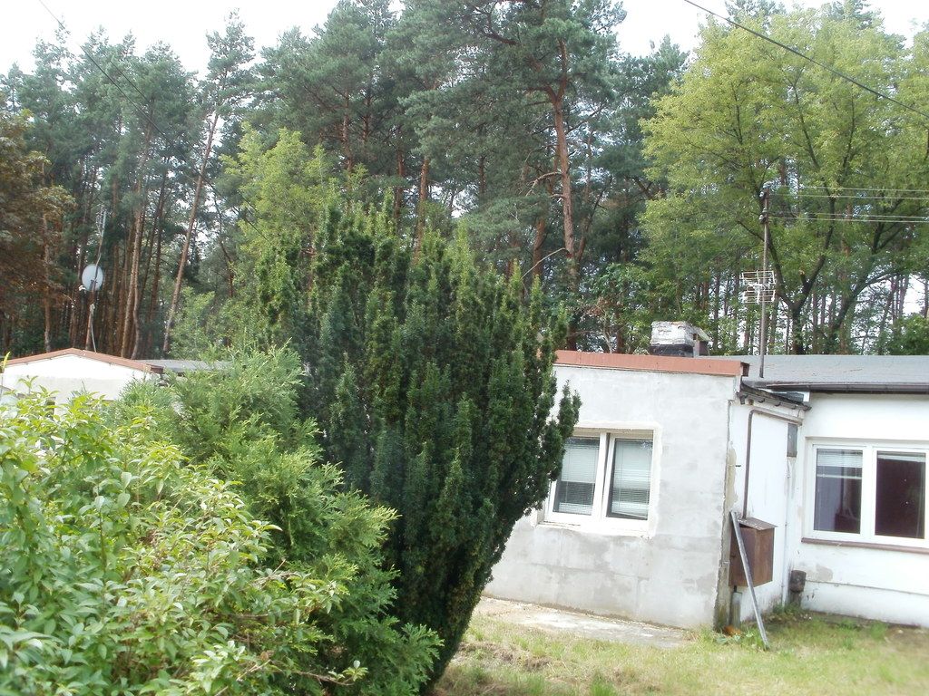 Działka na sprzedaż          
          
            Izabelin - View 6