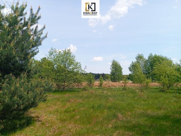 Działka rolno-budowlana Wólka Piecząca. Zdjęcie 3