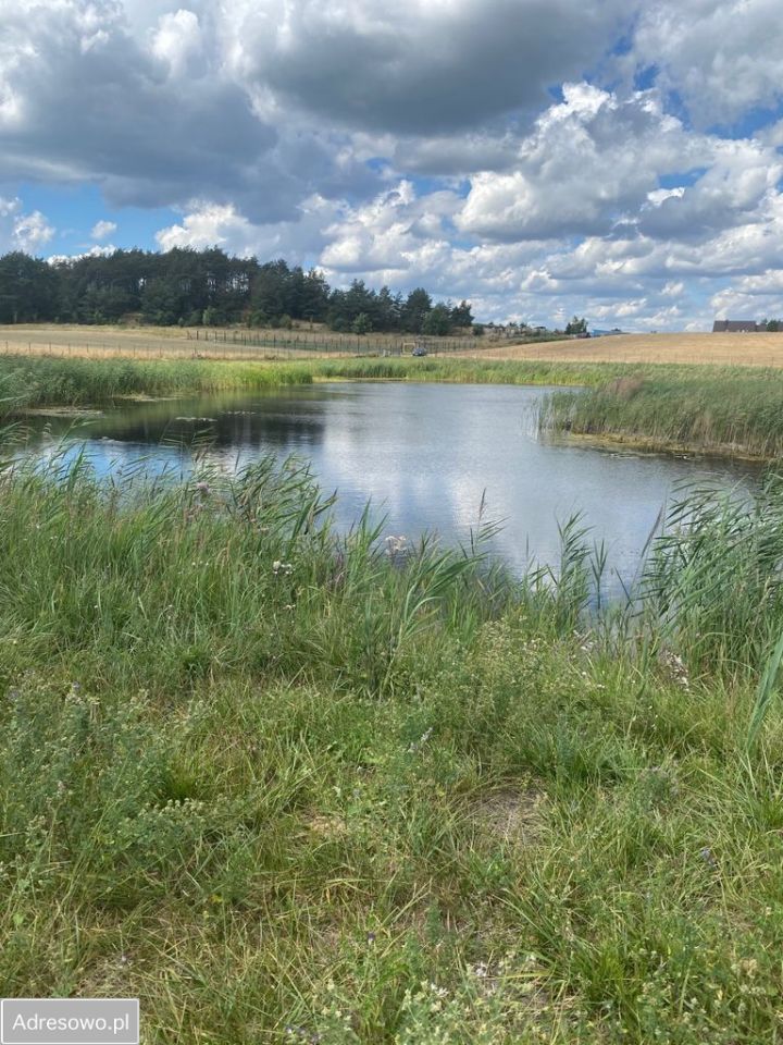 Działka rolno-budowlana Dębe, ul. Na Trzciniec. Zdjęcie 3