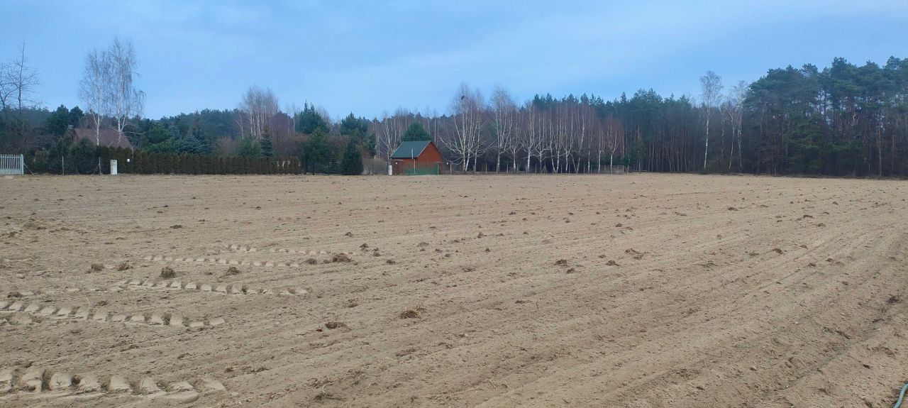 Działka rolno-budowlana Lesieniec. Zdjęcie 2