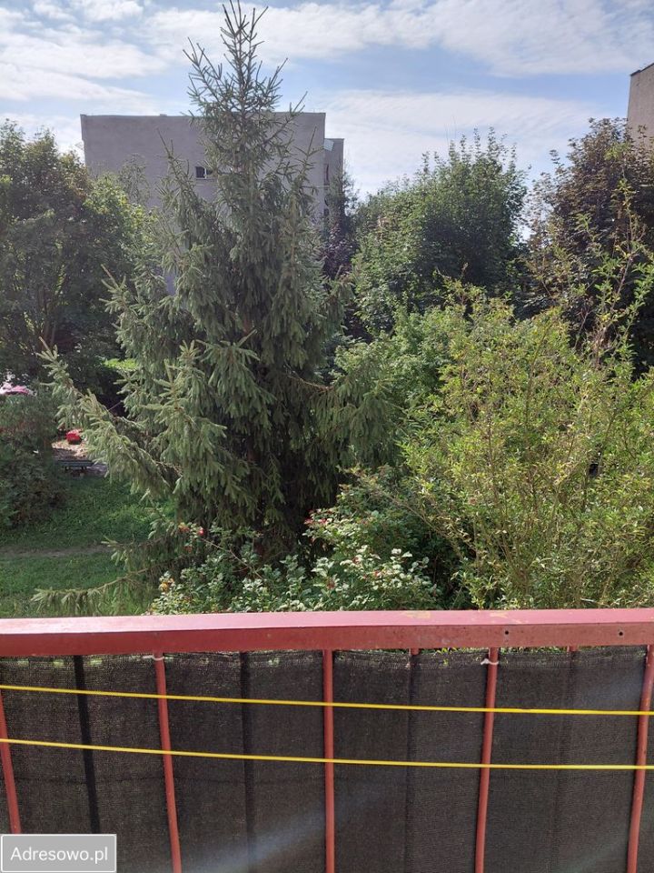 Mieszkanie 3-pokojowe Gubin, os. Emilii Plater. Zdjęcie 6