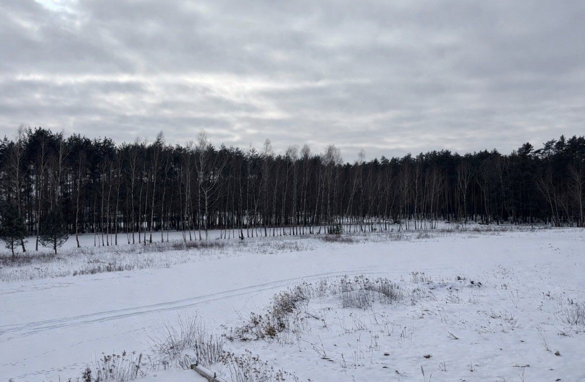 Działka budowlana Wysoka Głogowska, ul. Leśne Zacisze. Zdjęcie 4