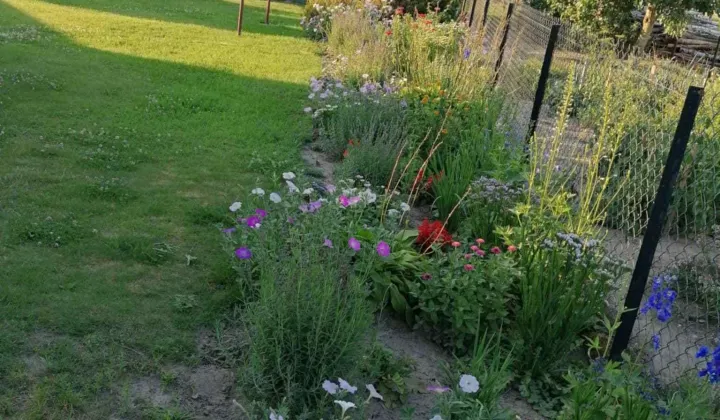 dom wolnostojący Zamość