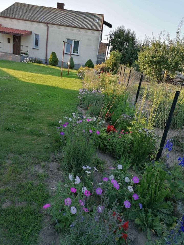 dom wolnostojący Zamość. Zdjęcie 1