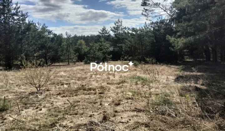 Działka budowlana Cierpice, ul. Długa
