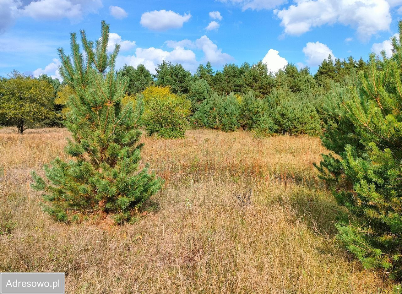 Działka rolna Narew, ul. Szlak Żubra. Zdjęcie 3