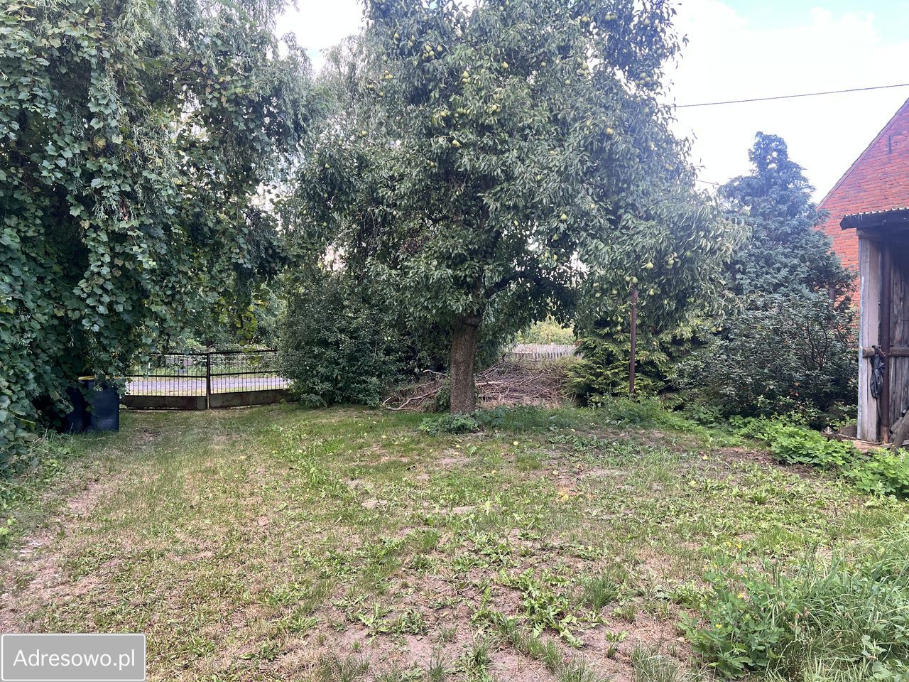 Działka Goła. Zdjęcie 6