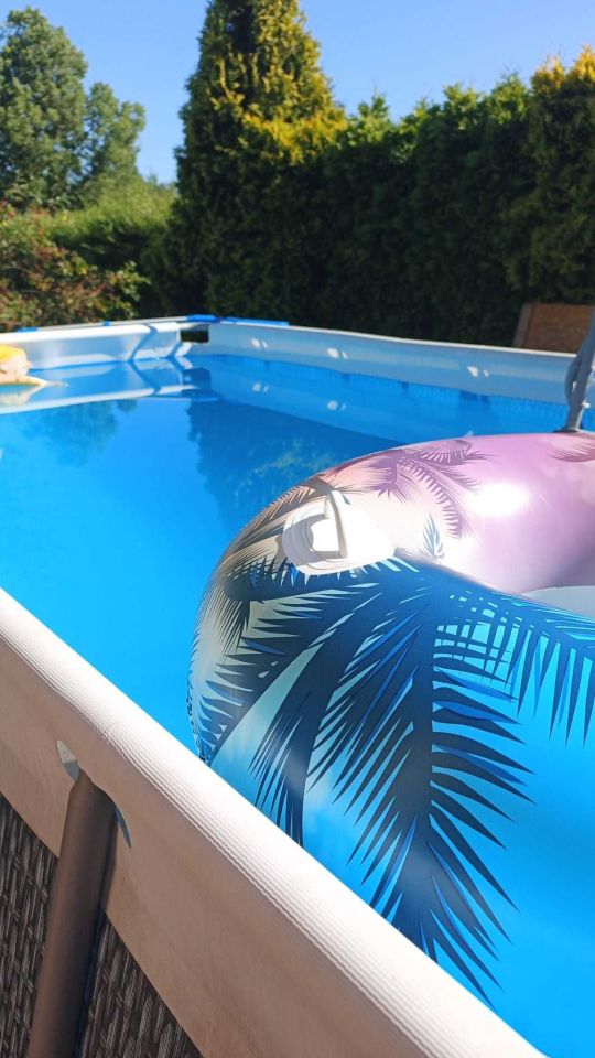 Działka rod Bytom. Zdjęcie 7