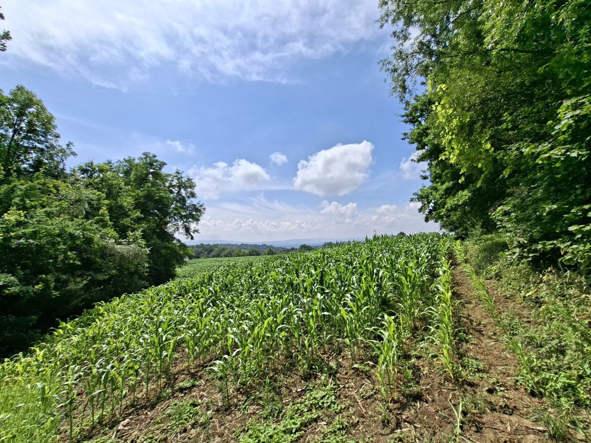 Działka budowlana Grajów. Zdjęcie 3