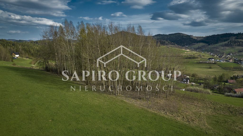 Działka budowlana Rabka-Zdrój. Zdjęcie 10