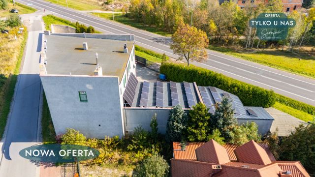 Lokal Orzechówek. Zdjęcie 13