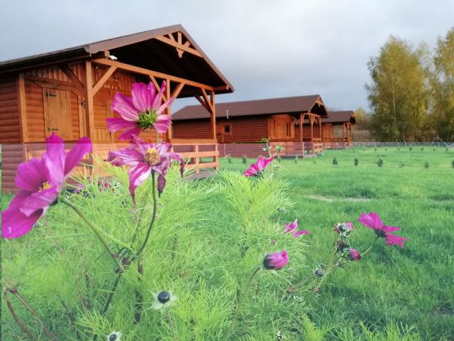 Działka budowlana Leleszki. Zdjęcie 1