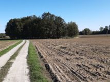 Działka budowlana Osowa. Zdjęcie 1