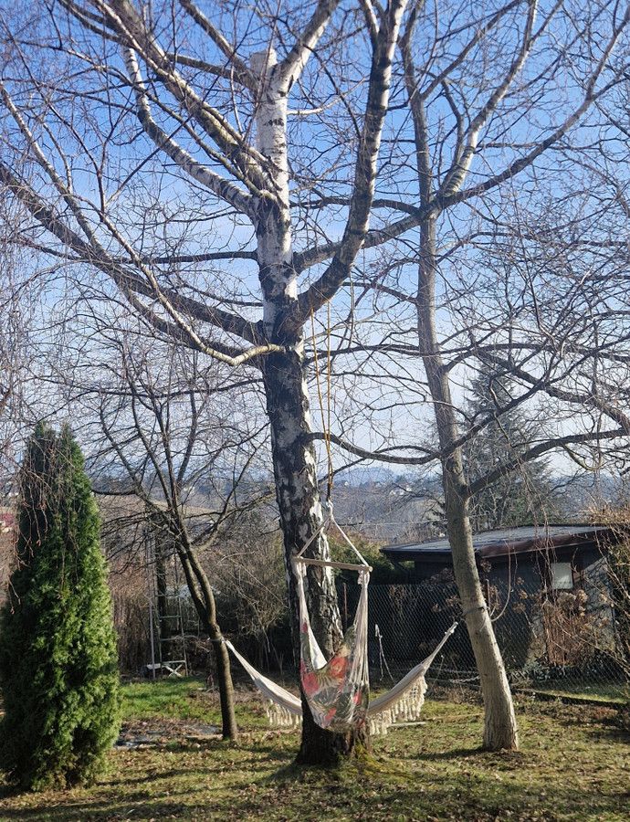 Działka rod Cieszyn. Zdjęcie 6