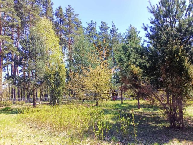 Działka budowlana Kamińsko. Zdjęcie 4