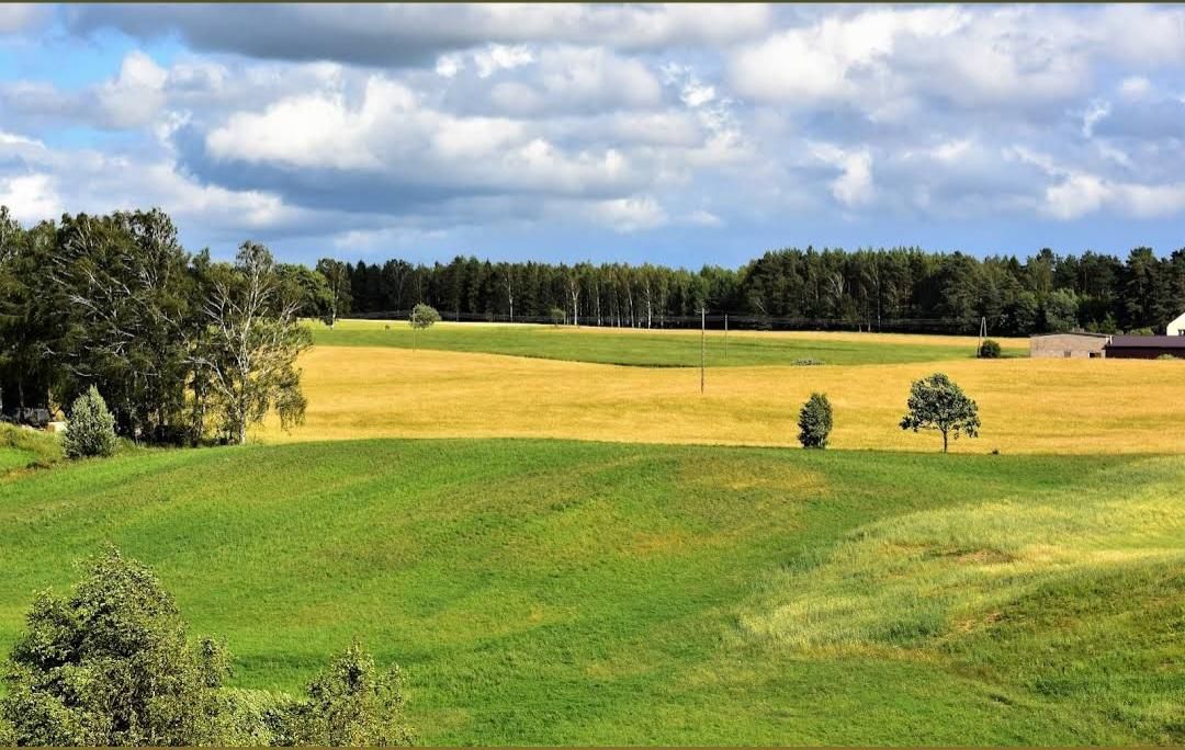 Działka budowlana Gołubie, ul. Jarzębinowa. Zdjęcie 10