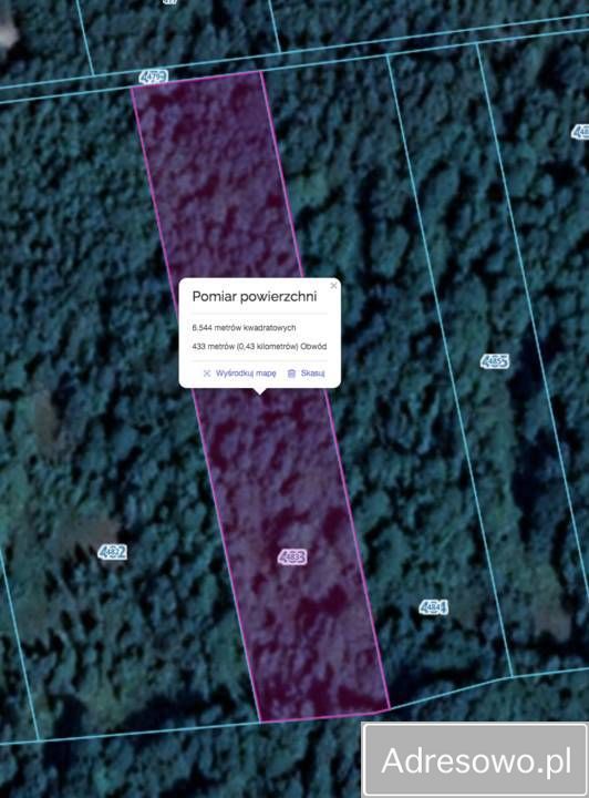 Działka leśna Rawa. Zdjęcie 4