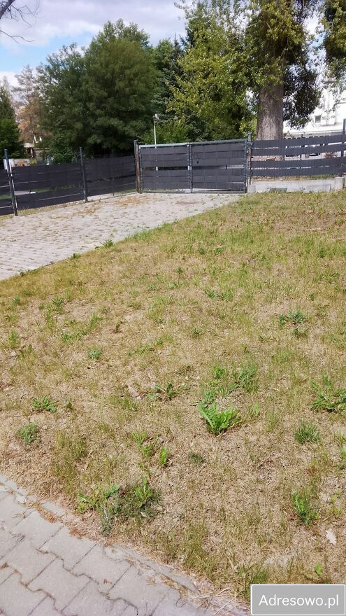 Działka rekreacyjna Nowy Jasiniec. Zdjęcie 12