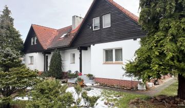 bliźniak Święta Katarzyna