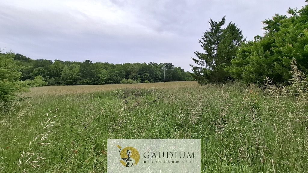 Działka budowlana Buszkowy Górne, ul. Leśna Góra. Zdjęcie 5