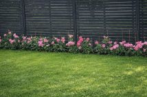 Działka rekreacyjna Radom Wośniki, ul. Hodowlana. Zdjęcie 3