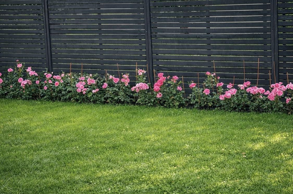 Działka rekreacyjna Radom Wośniki, ul. Hodowlana. Zdjęcie 4