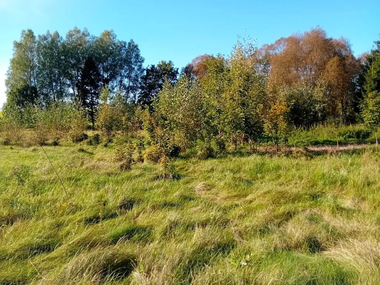 Działka budowlana Konojady. Zdjęcie 7
