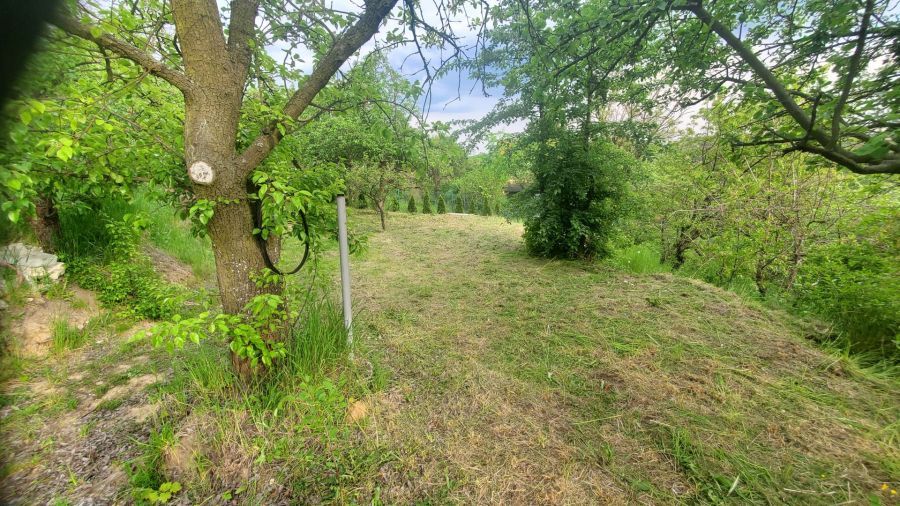 Działka rod Gdańsk. Zdjęcie 9