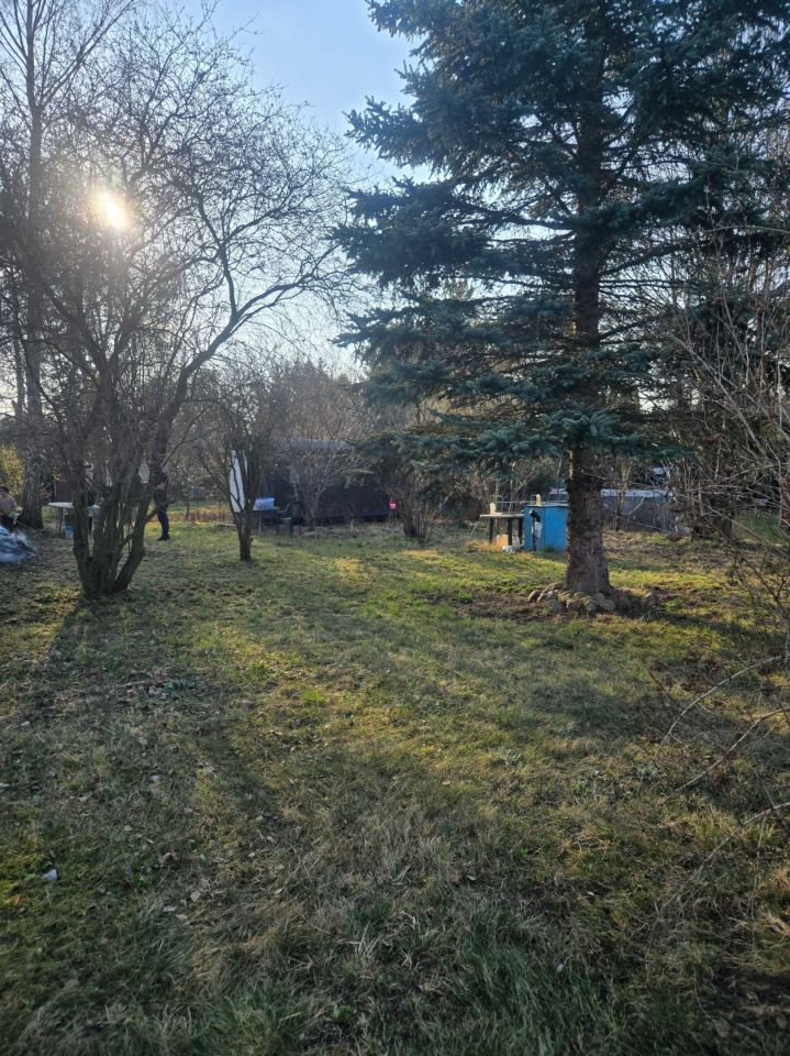 Działka rod Ząbki, ul. Klamrowa. Zdjęcie 2