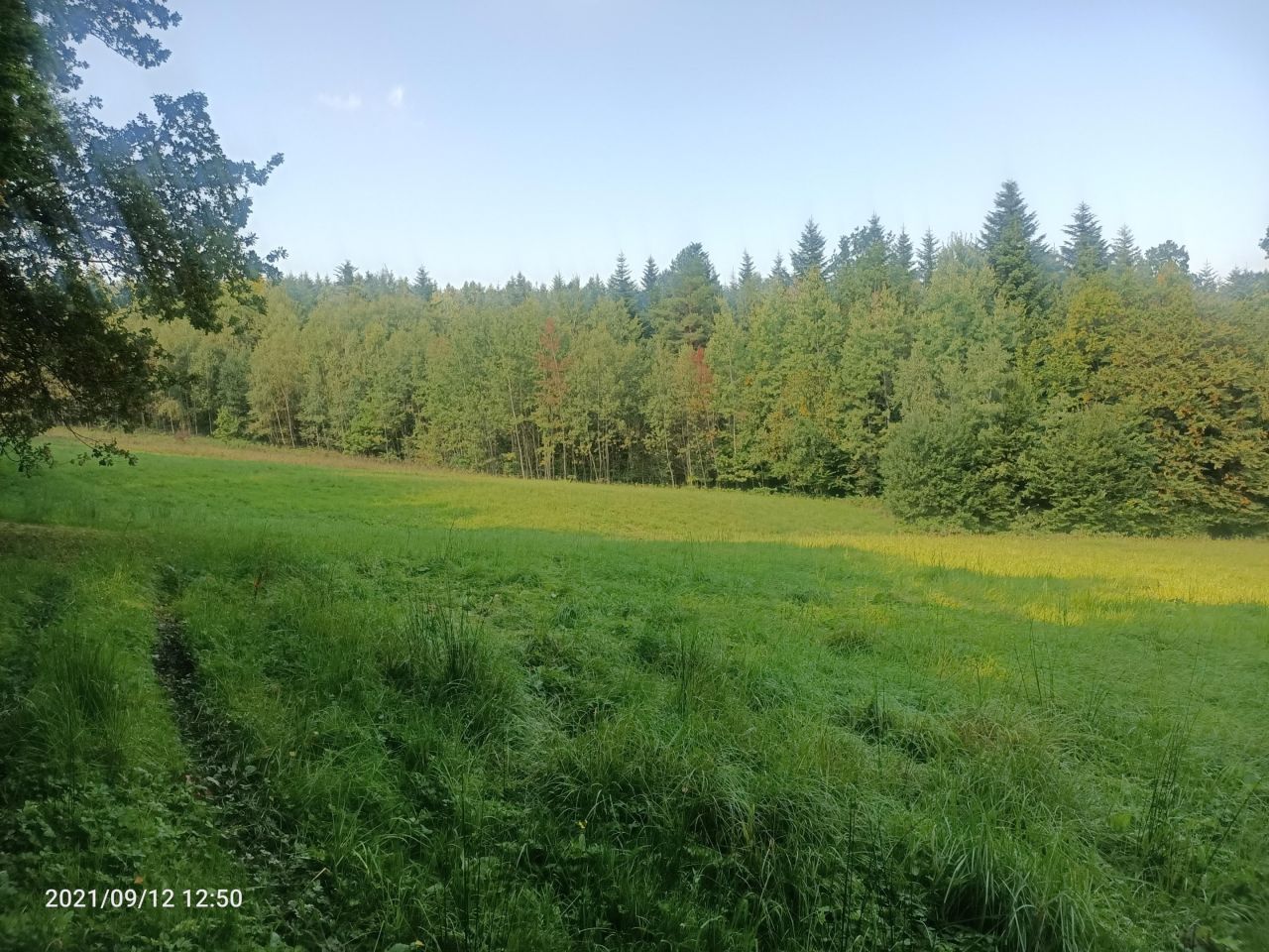 Działka rolna Piekiełko. Zdjęcie 6