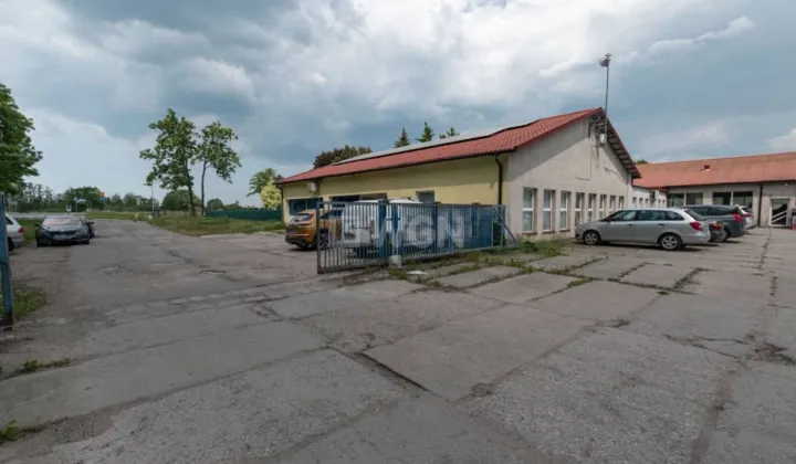 Lokal Elbląg, ul. Żuławska