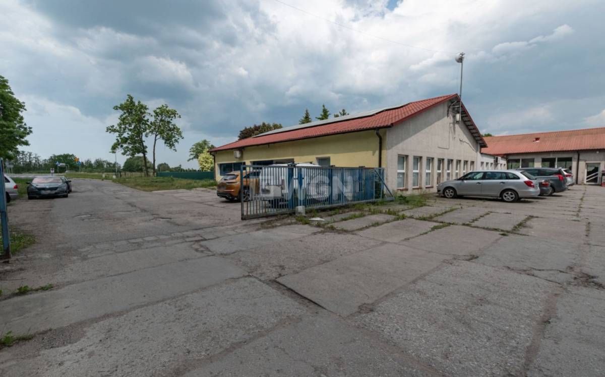 Lokal Elbląg, ul. Żuławska