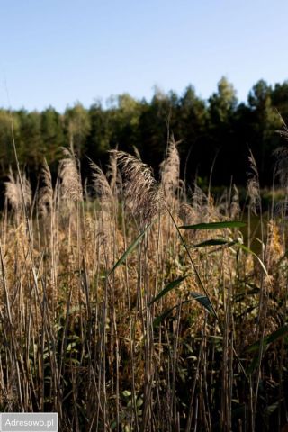 Działka inna Zbiroża. Zdjęcie 1