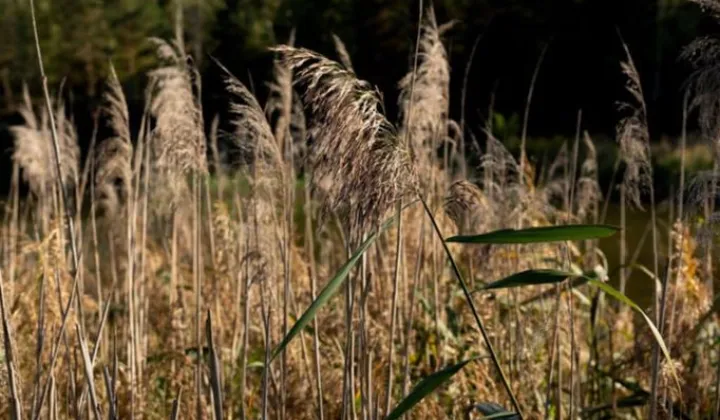 Działka inna Zbiroża